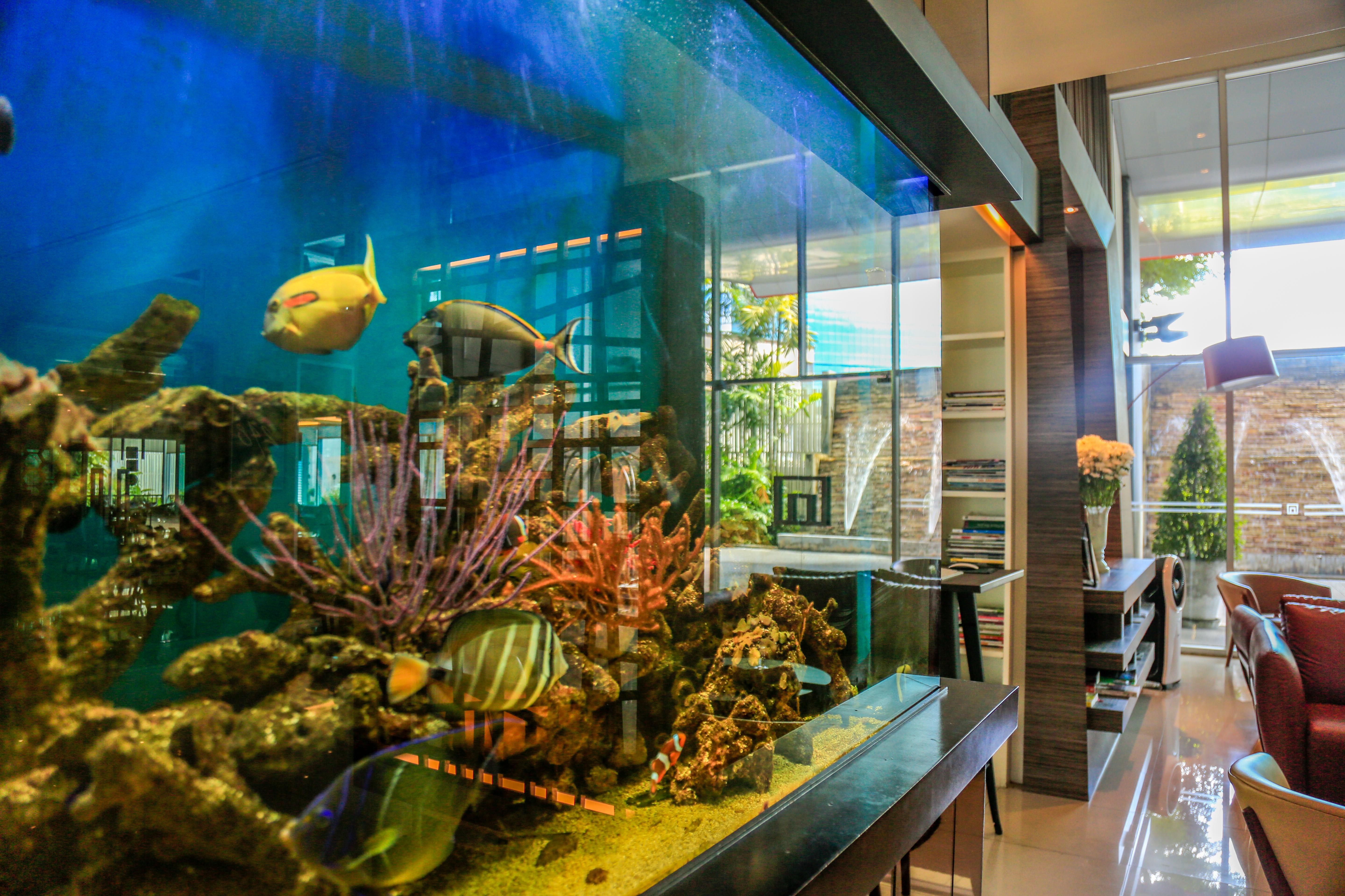 Northgate Ratchayothin Hotel Bangkok Luaran gambar